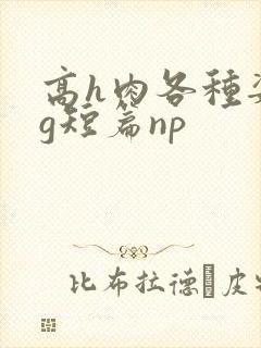 高h肉各种姿势g短篇np封面