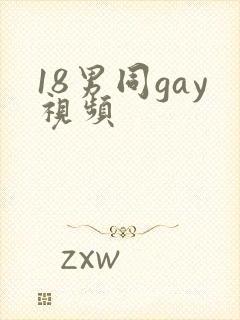 18男同gay视频