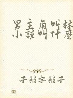 男主角叫林寒的小说叫什么名字