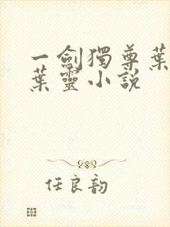 一剑独尊叶玄,叶灵小说