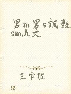 男m男s调教(sm,h文