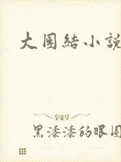 大团结小说全文