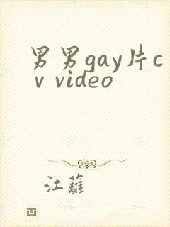 男男gay片cⅴvideo