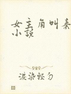 女主角叫秦佳的小说