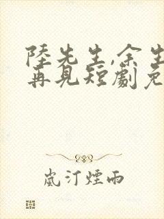 陆先生,余生不再见短剧免费观看全集