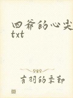 四爷的心尖宠妃txt