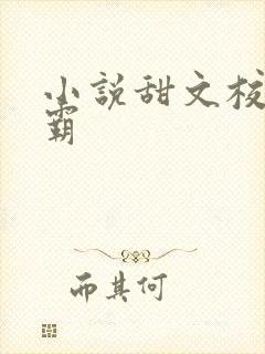 小说甜文校园校霸