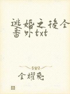 逃婚之后全文加番外txt封面
