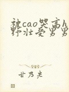 被cao哭高h野壮受男男视频封面