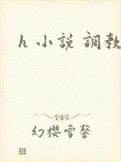 h 小说 调教