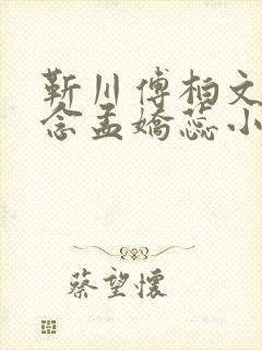 靳川傅柏文沈念念孟娇蕊小说
