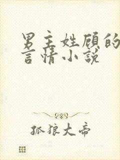 男主姓顾的现代言情小说