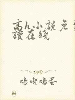 高h小说免费阅读在线