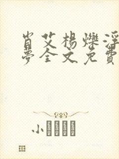肖艾杨烁浮华逝梦全文免费阅读笔趣阁