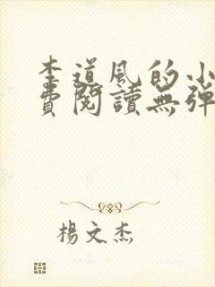李道风的小说免费阅读无弹窗封面
