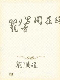 gay男同在线观看封面