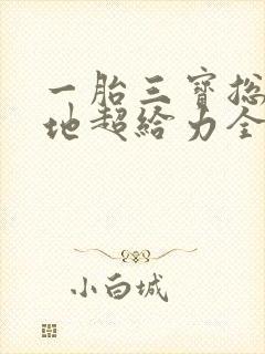 一胎三宝总裁爹地超给力全文免费阅读在线