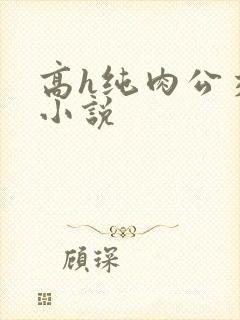 高h纯肉公交车小说