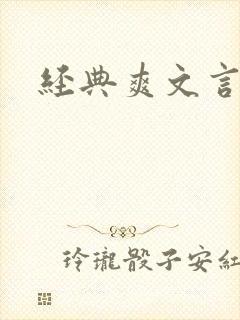 经典爽文言情封面