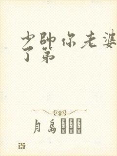 少帅你老婆又跑了第
