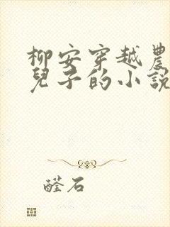 柳安穿越农家小儿子的小说