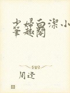 少妇白洁小说 笔趣阁封面