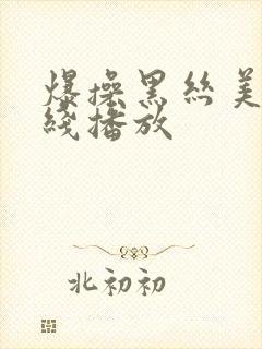 爆操黑丝美女在线播放