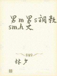 男m男s调教(sm,h文
