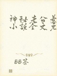 神秘老公惹不起小说全文免费阅读