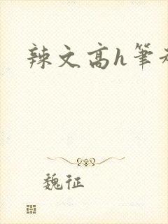 辣文高h笔趣阁封面
