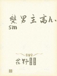双男主高h小说sm