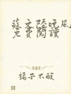 苏文陆晚风小说免费阅读