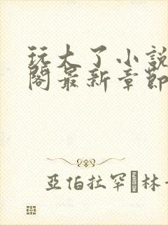 玩大了小说笔趣阁最新章节无弹窗