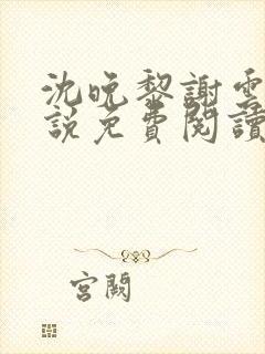 沈晚黎谢云迟小说免费阅读封面