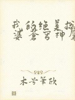 我的绝美总裁老婆 苍穹神鹰封面