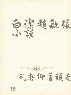 白洁赵敏张倩 小说