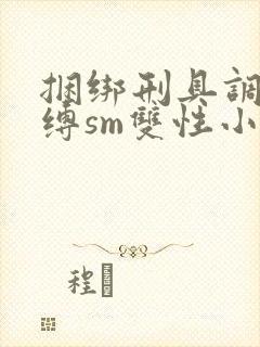 捆绑刑具调教束缚sm双性小说封面