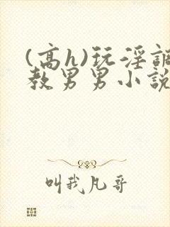 (高h)玩淫调教男男小说封面