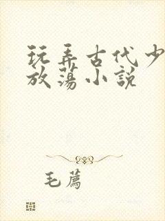 玩弄古代少妇的放荡小说封面