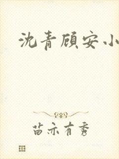 沈青顾安小说