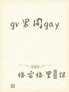 gv男同gay