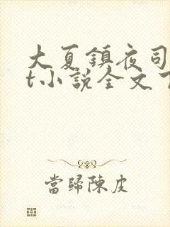 大夏镇夜司txt小说全文下载