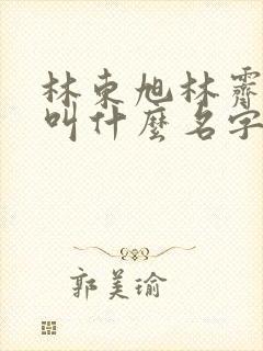 林东旭林霁小说叫什么名字