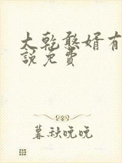 大乾憨婿有声小说免费封面