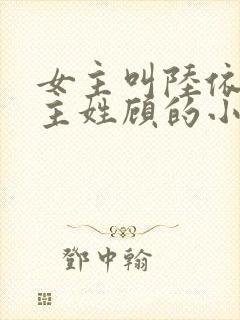 女主叫陆依依男主姓顾的小说