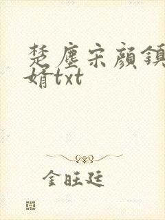 楚尘宋颜镇国神婿txt