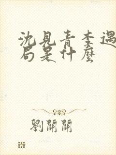 沈见青李遇泽结局是什么封面