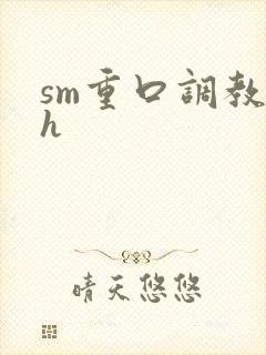 sm重口调教高h封面