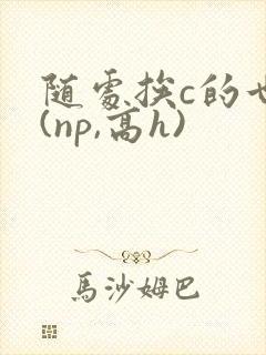 随处挨c的世界(np,高h)