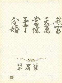 分手当天,我闪婚了亿万富豪全文免费阅读